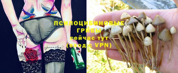 первитин Арсеньев
