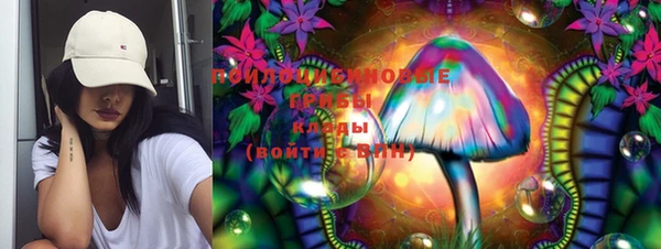 ГАЛЛЮЦИНОГЕННЫЕ ГРИБЫ Армянск